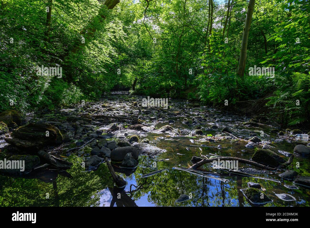 Worsley Woods, Worsley, Manchester Stockfoto