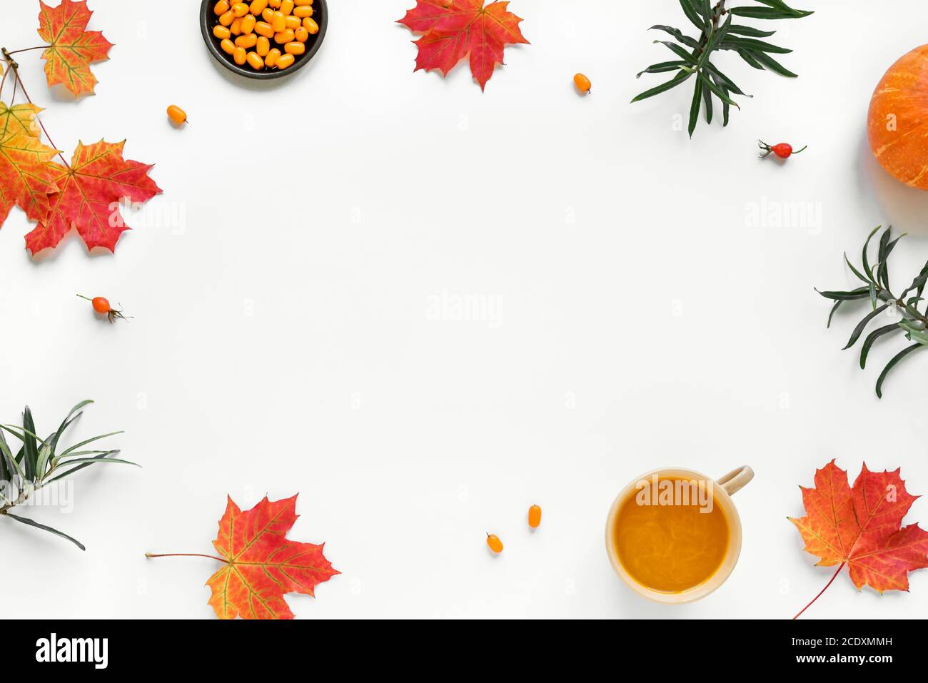 Herbstkomposition - Kürbis und Sanddorn Punch Drink, Herbst Ahornblätter und Kürbisse isoliert auf weißem Hintergrund, kreative flache Lage, Draufsicht Stockfoto