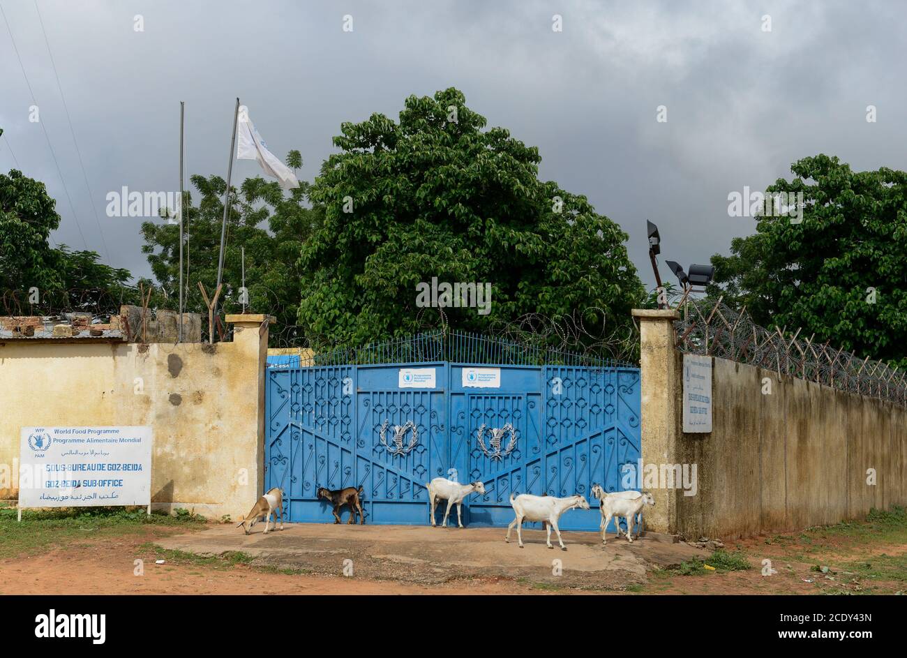 TSCHAD, Goz Beida, gesichertes WFP Camp / TSCHAD, Goz Beida, gesichertes WFP Camp Stockfoto