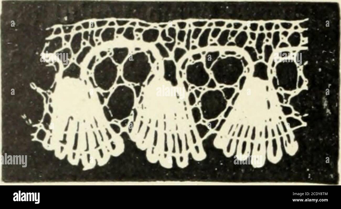 . Le poinct de France et les Centers Dentelliers au XVIIe et au XVIIIe siècles; ouvrage orné de quarante-trois illustrations . Point de Tulle ancien. Etienne Baluze devint ainsi à Paris le lanceur du Pointde Tulle. Son correspondant à Tulle, était M. MelonDuverdier, conseiller au présidial; cest lui qui recevaitet remettait aux ouvrières les commandes et les dessins.Le Point de Tulle se prêtait à toutes les garnitures quifaisaient fureur à la fin du xvu siècle; il produisait plus LE lOINCT ITK FRANCK. – 14. 210 LE POINCT DE FRANCE ET LES CENTERS DENTELLIERS deffet que la (jneuse et la neige et Stockfoto