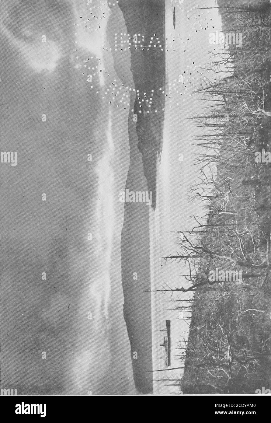 . Chile heute und morgen . von solchen Straßen wie Spanishbalconies und Ziegeldächer behalten, könnte man sich vorstellen, dass viele strenge von Santiago ein Teil einer erstklassigen Französisch oder Englisch Stadt sein. Die Straßenbahnen, die gemeinsame Nutzung von Autos und Strom, die guten Pflasterarbeiten und gute Geschäfte, die Schönheit und Mode der chilenischen Frauen, die wunderschön gebauten und ausgestatteten Häuser, die guten Restaurants, die reichliche Versorgung mit Zeitungen, das Aussehen und die Verläufe der Menschen, Render Val-paraiso und die chilenische Hauptstadt unter den Front-Rankcities der Welt. Aber chilenische Städte unterscheiden sich stark. In der zentralen Re- Stockfoto