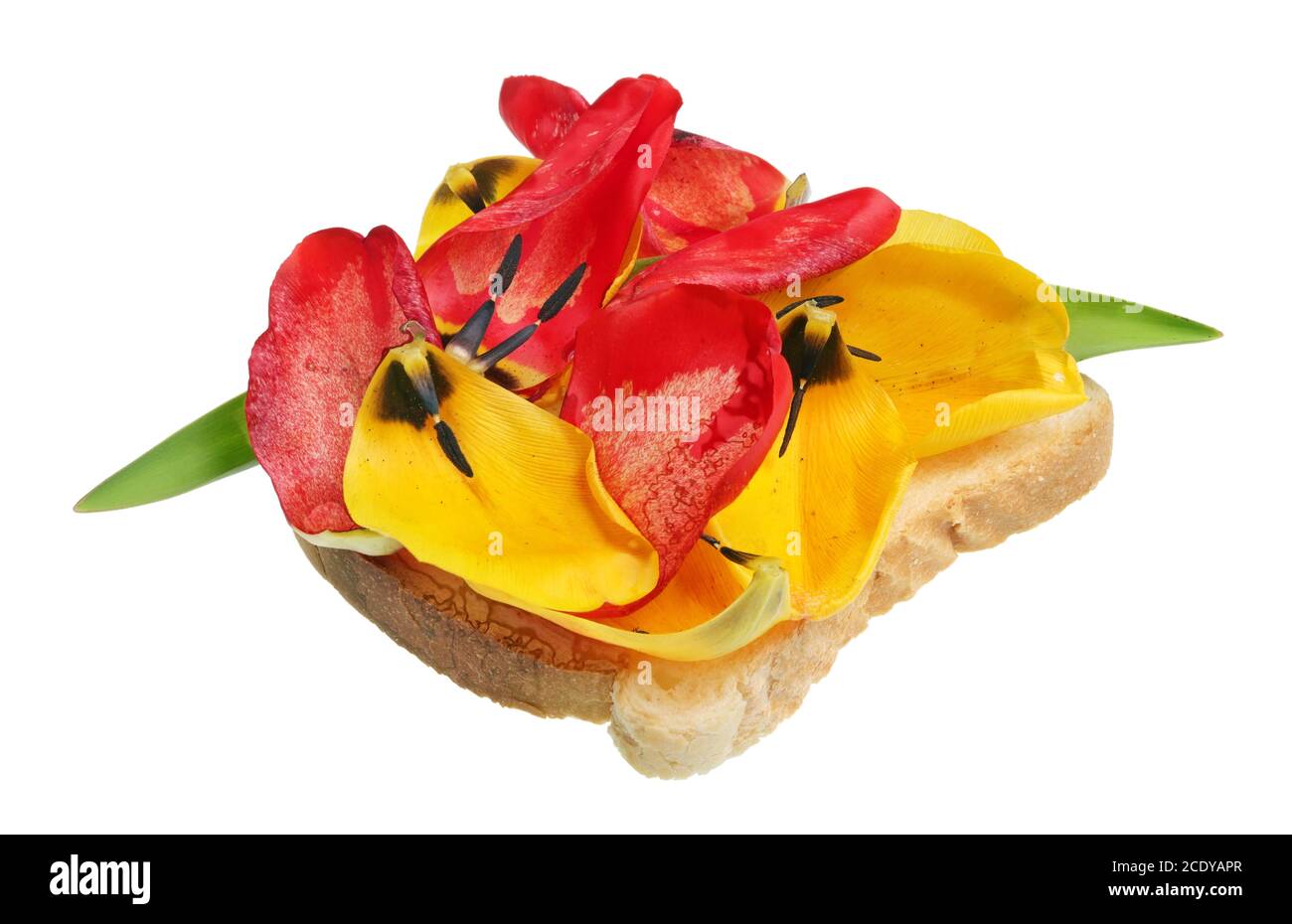 Gebratenes Toastbrot mit Blütenblättern aus Frühlingsblumen - exotische Speisen Isoliert Stockfoto