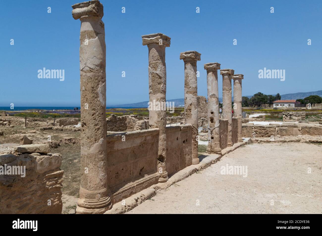 Haus von Theseus, römische Villenruinen im Archäologischen Park von Kato Paphos. Zypern Stockfoto