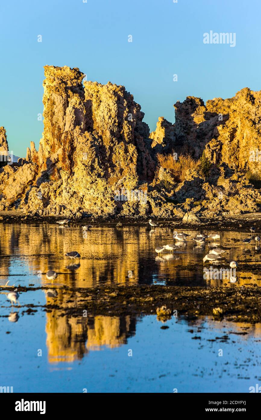 Die Reflexion. Sonnenuntergang Stockfoto