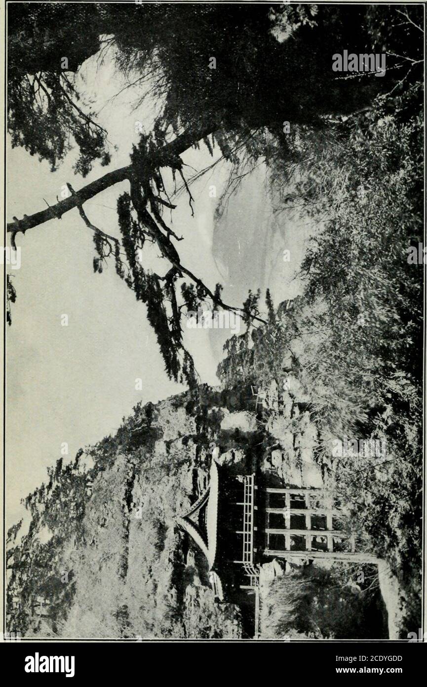 . Sierra Club Bulletin . ub Bulletin Juni. 1907Vol. VI Nr. 3 INHALT die Nachwirkungen eines Club Outing Alden Sampson 153 Platten XXXII., XXXIII., XXXIV., XXXV. Entlang der Ausläufer zum See C.habot.. W. R. Whyte 175 Platten XXXVI., XXXVII. Mt. Rose Weather Observatory J.E. Kirche, Jr 177 Platten XXXVIII., XXXIX., XL., XLL, XLII., XLIII. Der Aufstieg von Asama-Yama E. A. Wicker 186 Platten XXXI., XLIV., XLV. Organisation des Sierra Clubs 196 Berichte : Sekretariate Bericht 197 Schatzmeisterbericht 109 Notizen und Korrespondenz 201 Buchbesprechungen WM. Frederic Bade. 206 Forsthinweise G.B. Lull 208 Alle Kommunikati Stockfoto