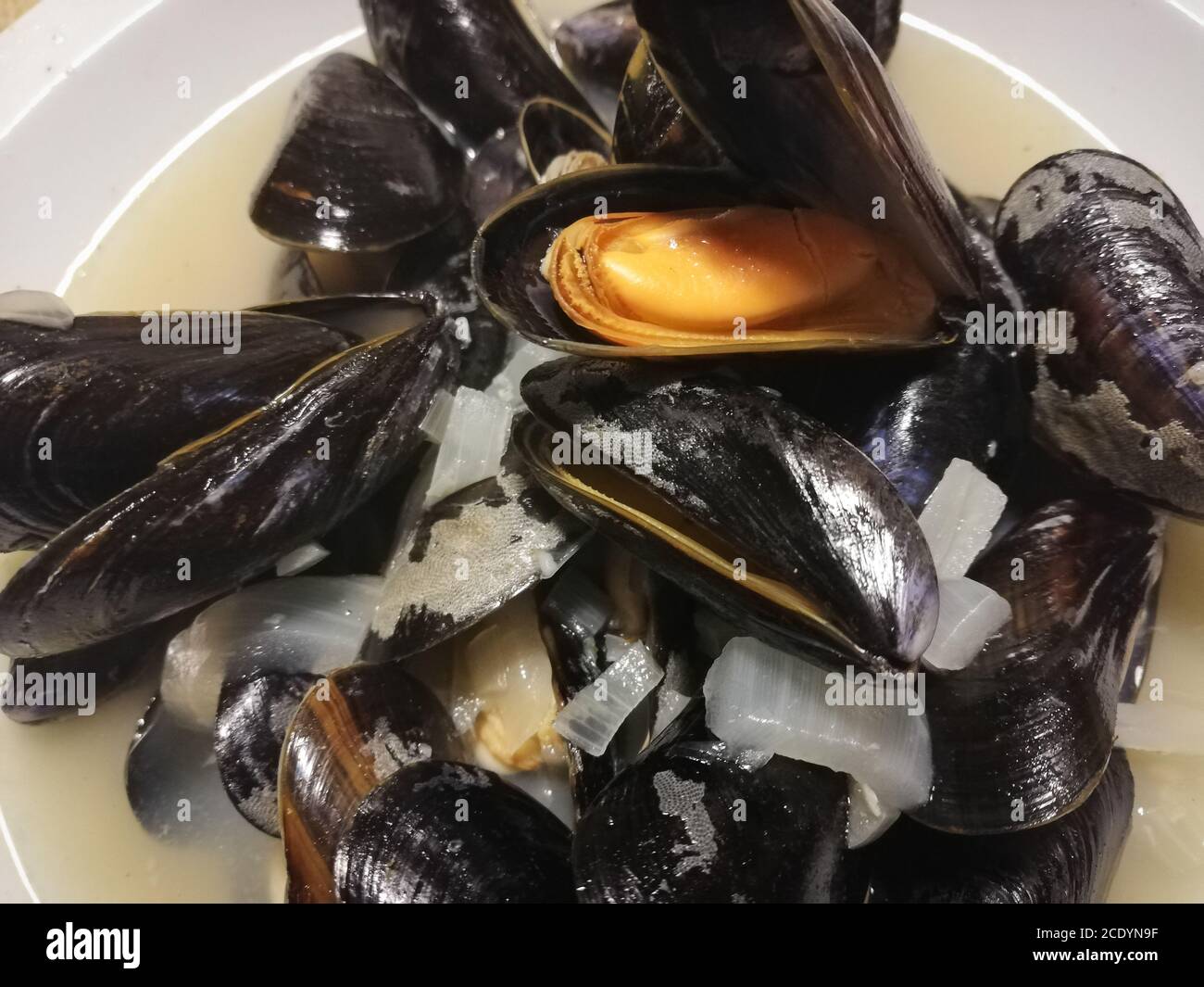 Eine Platte mit belgischen Muscheln in Nahaufnahme Stockfoto