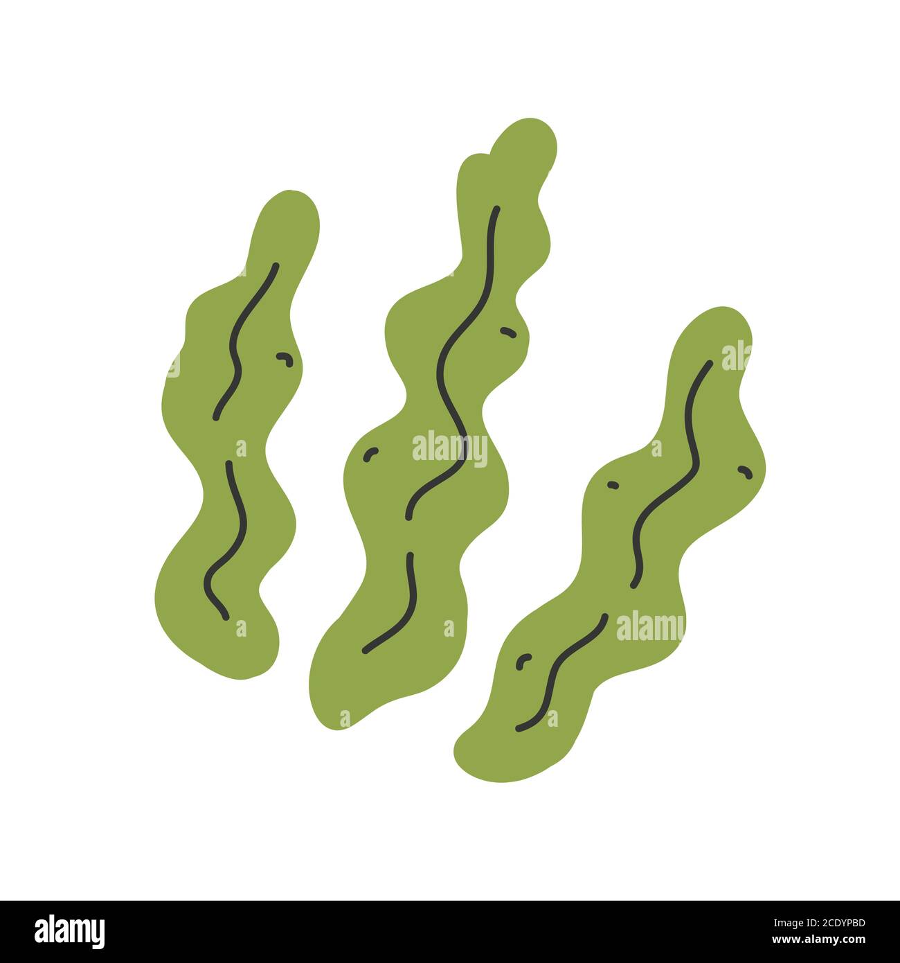 Kelp isoliert, Seetang Blätter Symbol, handgezeichnete Vektor-Illustration, gesunde Lebensmittel Zutat Stock Vektor