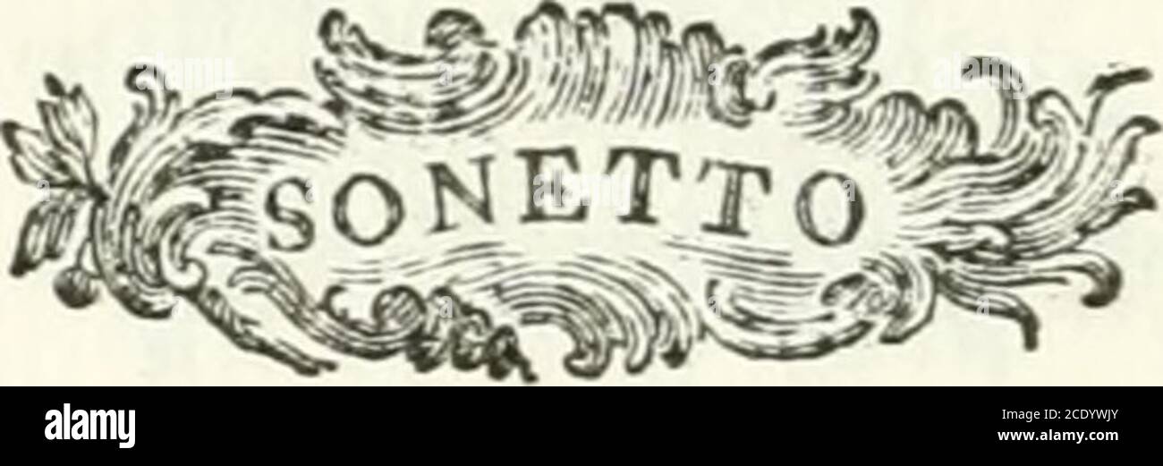 . Poesie pel solenne ingresso di Sua Eccellenza il signor Alvise Contarini 2do Kr. Alla dignità di proccuratore di S. Marco . Mentre, Signor, predo alFAugel, che in rivadella real Danoja or ha il fiio nido,Sedevi TU, Miniftro eletto, e fidoDel pio Leon, caro allAdriaca Diva; Quefìa, che fece ognor la fama Vivadi fé volar in ogni eftranio lido,Ornando i figli fuoi di maggio fregi, oliva TE pur, qual gemma preziofa, e bella, Di quel ricco Telòr, che i fuoi fplendoriDifonde in Terra, e in mar illuftre, e chiaro, Colmo di rari, e duplicati onori, E aggiunta a prii Stockfoto