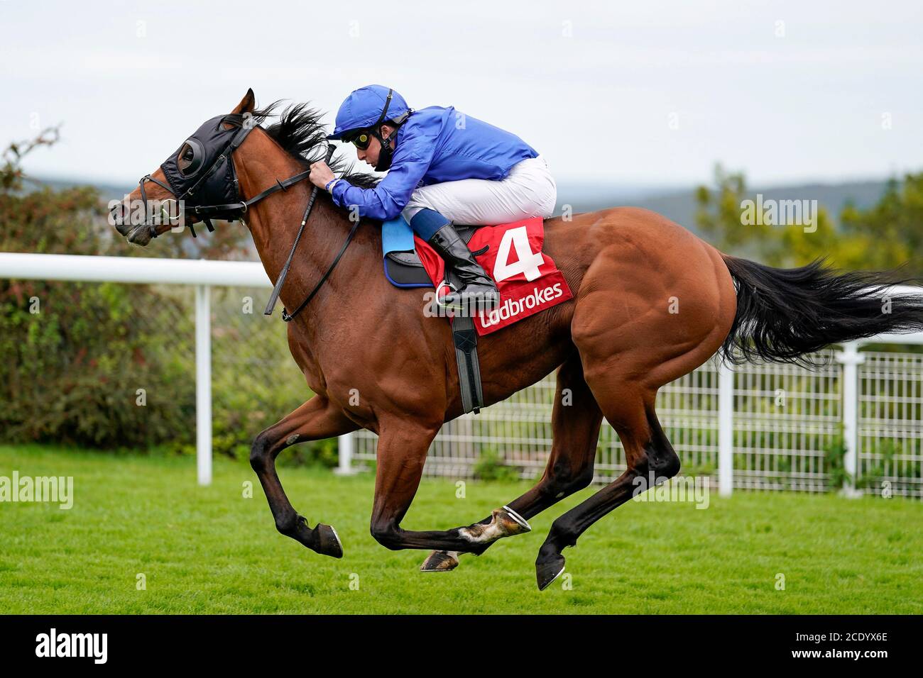 Native Tribe geritten von Jockey William Buick gewinnt die Ladbrokes Holen Sie sich Ihre tägliche Odds Boost Handicap auf Goodwood Racecourse, Chichester. Stockfoto