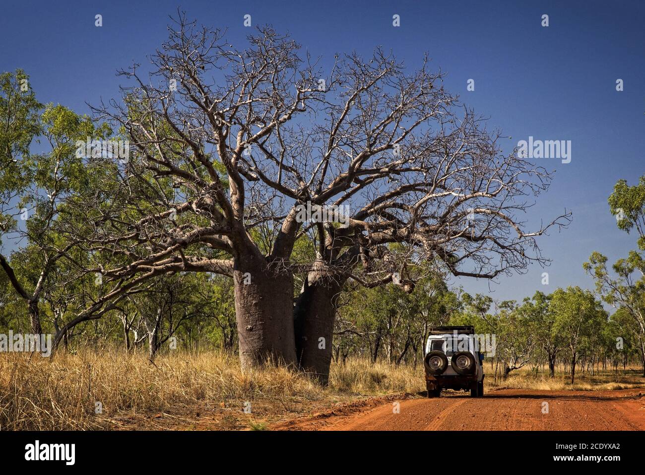 Outback Track in den Kimberleys - Western Australia Stockfoto