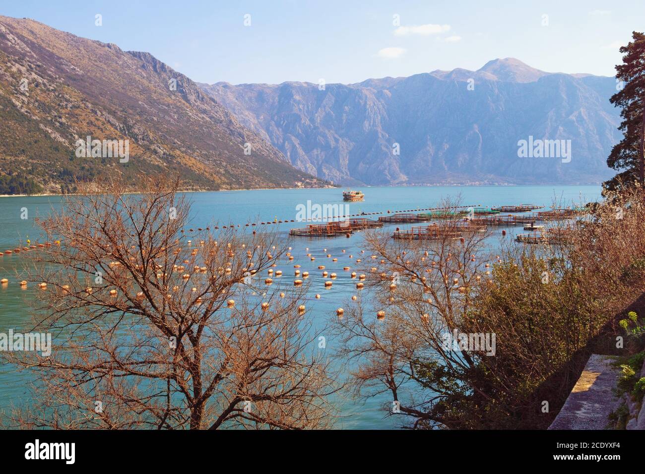 Winter mediterrane Landschaft. Fischfarm in Kotor Bay. Montenegro, Adria Stockfoto