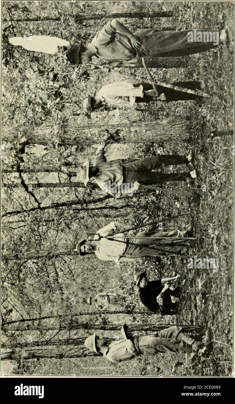 . Biographische Aufzeichnung der Absolventen und ehemaligen Studenten der Yale Forest School; mit einführenden Papieren über Yale in der Forstbewegung und die Geschichte der Yale Forest School . cut. Die Senior Field Work wurde in Trinity, Texas, durchgeführt. Die ungewöhnlich große Klasse machte es notwendig, zwei temporaryfield Assistenten, C. A. Hoar, M.F. 10, und Harold Fay, M.F. 10. Fast drei Jahre zuvor wurde die Aufgabe unternommen, die Ressourcen der Schule um fünfhunderttausend Dollar zu erhöhen. Die große Zunahme der Studierendenzahl hat den Bedarf an einem neuen Gebäude fast zwingend gemacht. Stockfoto
