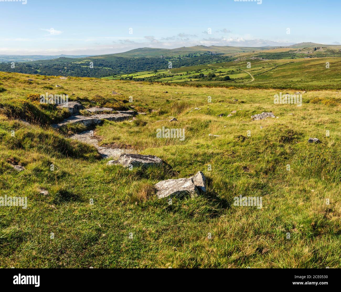 Schöner Landschaftsblick über den Dartmoor Nationalpark im Sommer mit Weite Sicht auf mehrere Toren und Täler Stockfoto