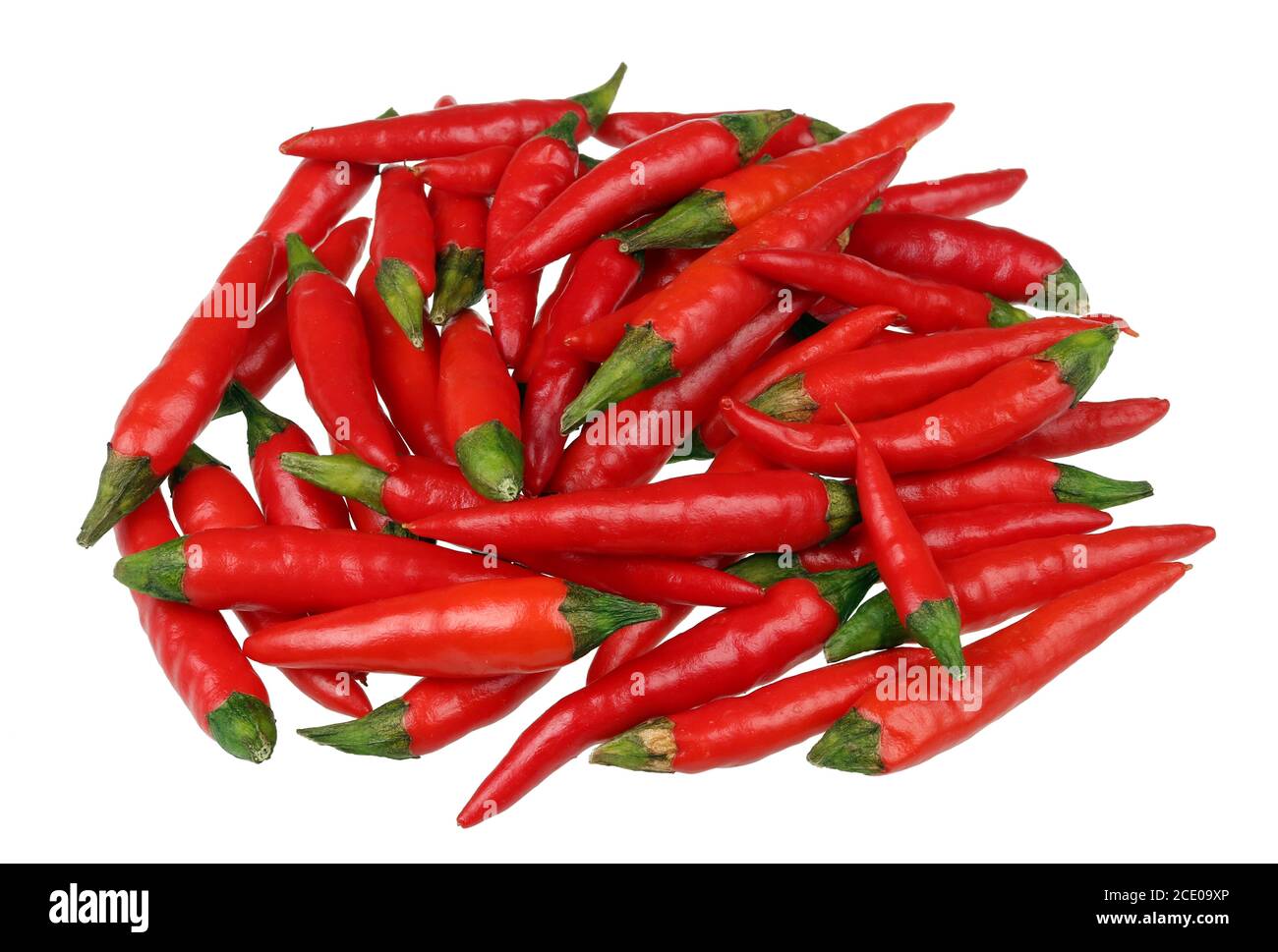 Tägliche Lebensmittel - Schoten von super heiß rot würzig Mikro-Chili-Paprika in Haufen auf Tisch isoliert Makro Stockfoto