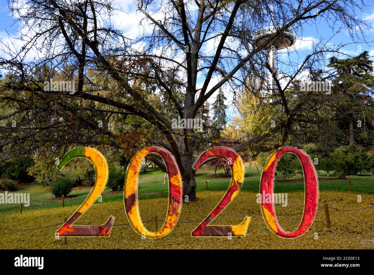 Herbst 2020. Die 2020 Figuren Formen sich mit Herbstblättern mit einem Hintergrund von Pilzen, charakteristisch für die Zeit. Stockfoto