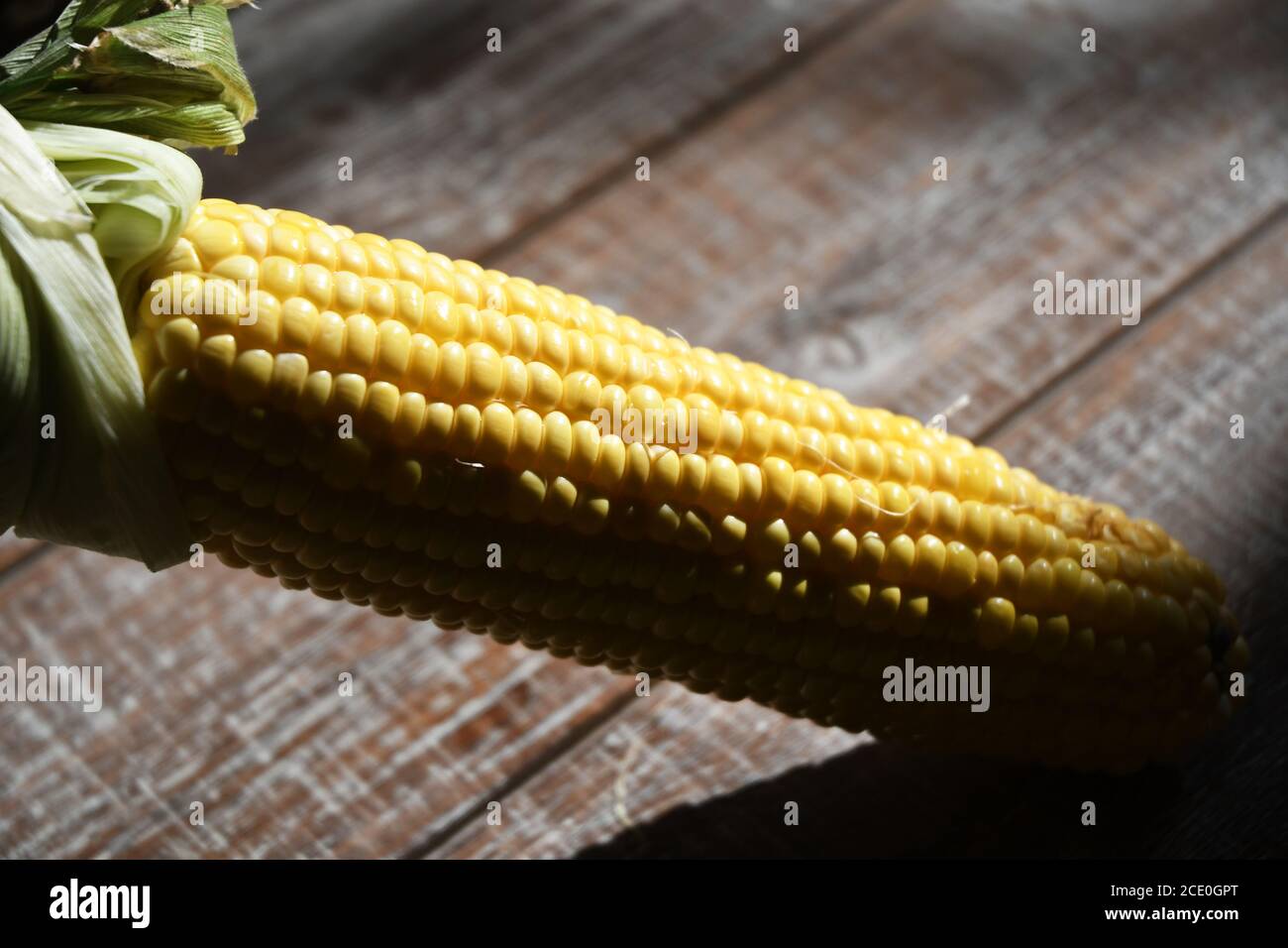 GELBE ERNTE: In der Tagessonne legt sich reifer frischer Mais auf ein Holzbrett. Stockfoto