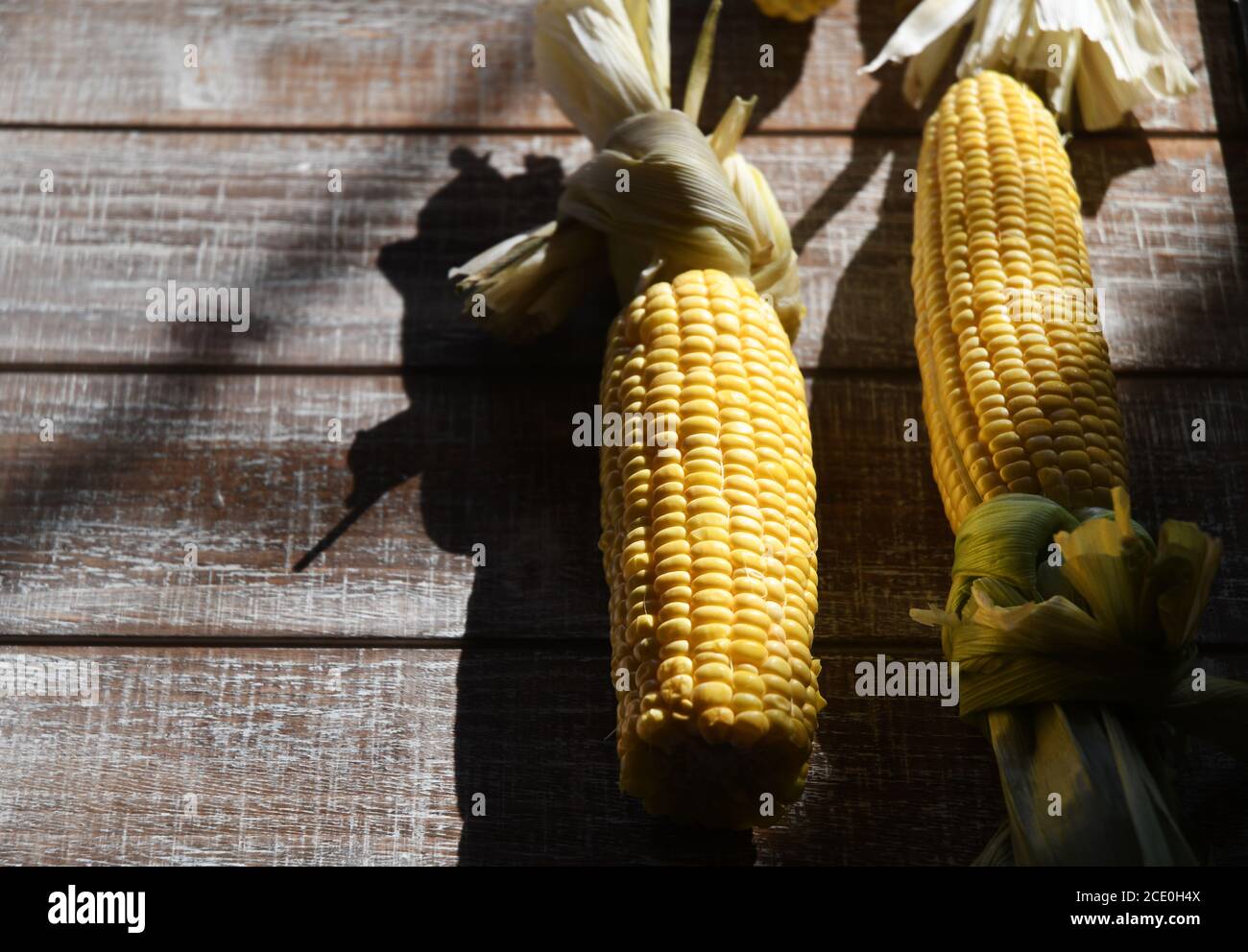 GELBE ERNTE: In der Tagessonne legt sich reifer frischer Mais auf ein Holzbrett. Stockfoto