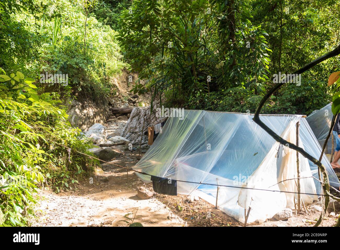 Zweites Lager in der Nähe der heißen Quellen des Gurah-Baches Im Dschungel von Ketambe Stockfoto