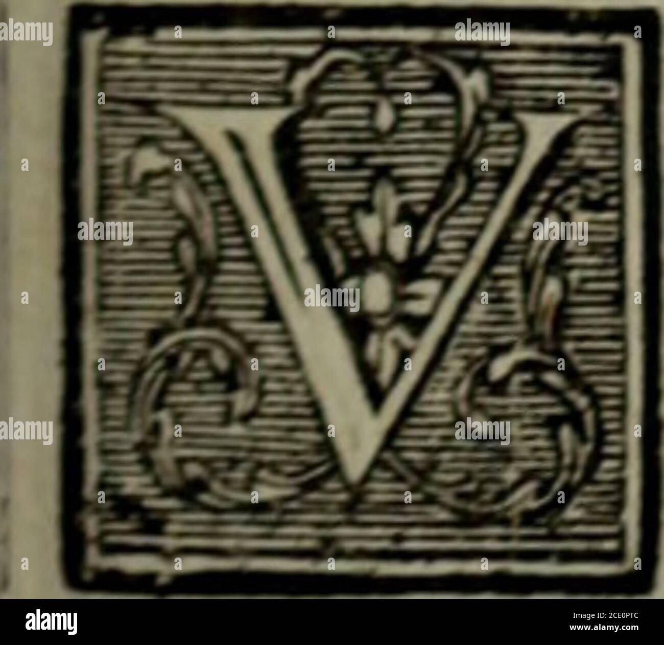 . Oeuvres, dédiées à S.A.S.M. le duc d'Orléans . ALCIONE&gt; TRAGEDIE. f^«^{«i {^i^f^ £^(^£4^ f^f^e^ ACTE PREMIER. Le Théâtre re^réfente une Gallerîe du Fa-^lais de C E i x, terminée far un endroitdu Valais consacré au:&gt;ç Dieux» SZENENPREMIERE; PELÉE, PHORBAS. F H O R B A S. O U S voyez le Palais où lhymcil dAlcioneVa combler les de/îrs de votre heui reux Rivale : Déjà la pompe s*en ordonne »Tome VI, C. f^ A L C I O N E i gt le Moment approche...Pele*e. Ah! Quel Moment fatal ! P H G RB A s, Seîgneuif, îl faut troubler cette odieufe fête-:Tout lEnfer conjuré ma promis fon fecour^ ;et ce jour Stockfoto