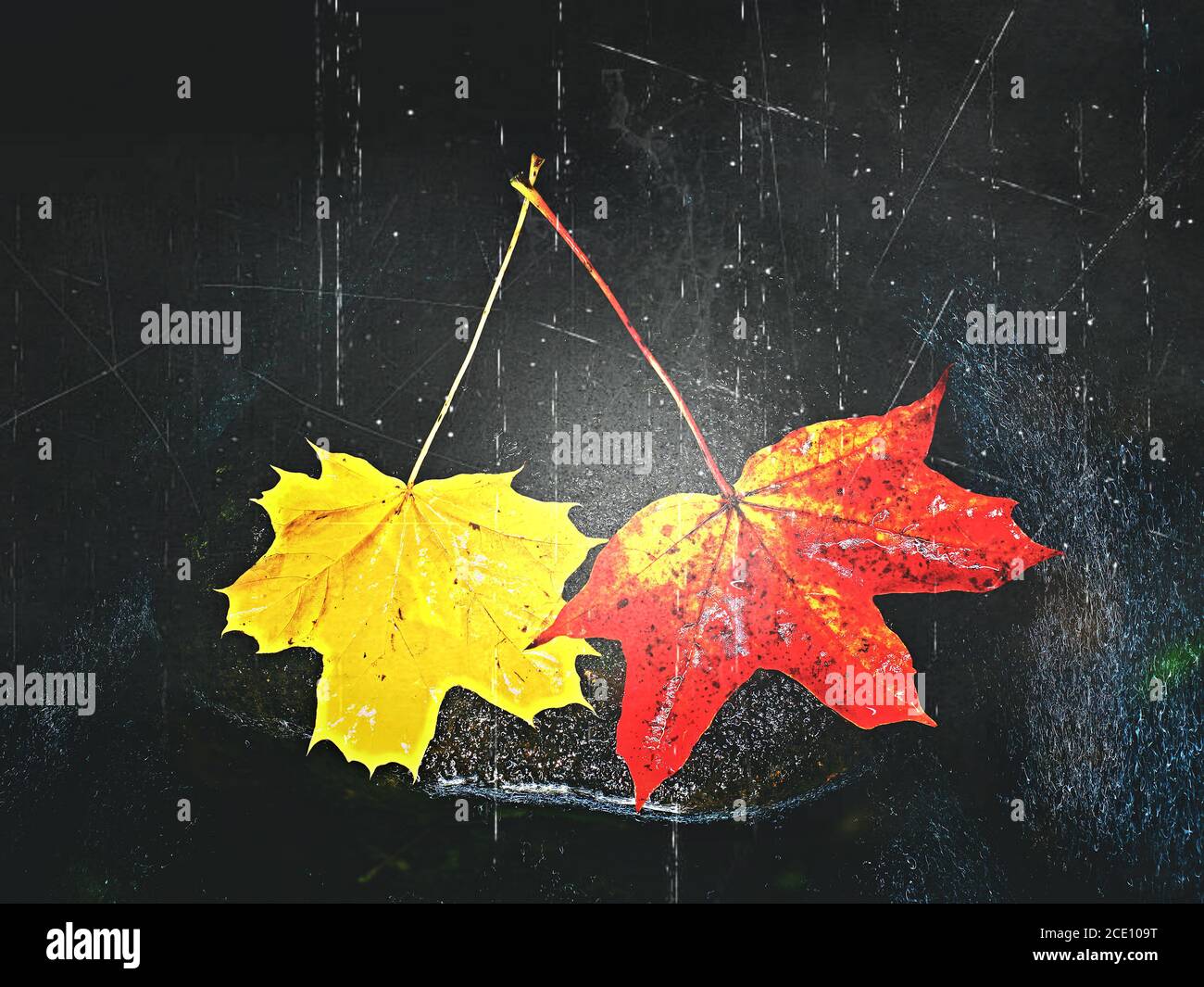 Filmeffekt. Stockfoto