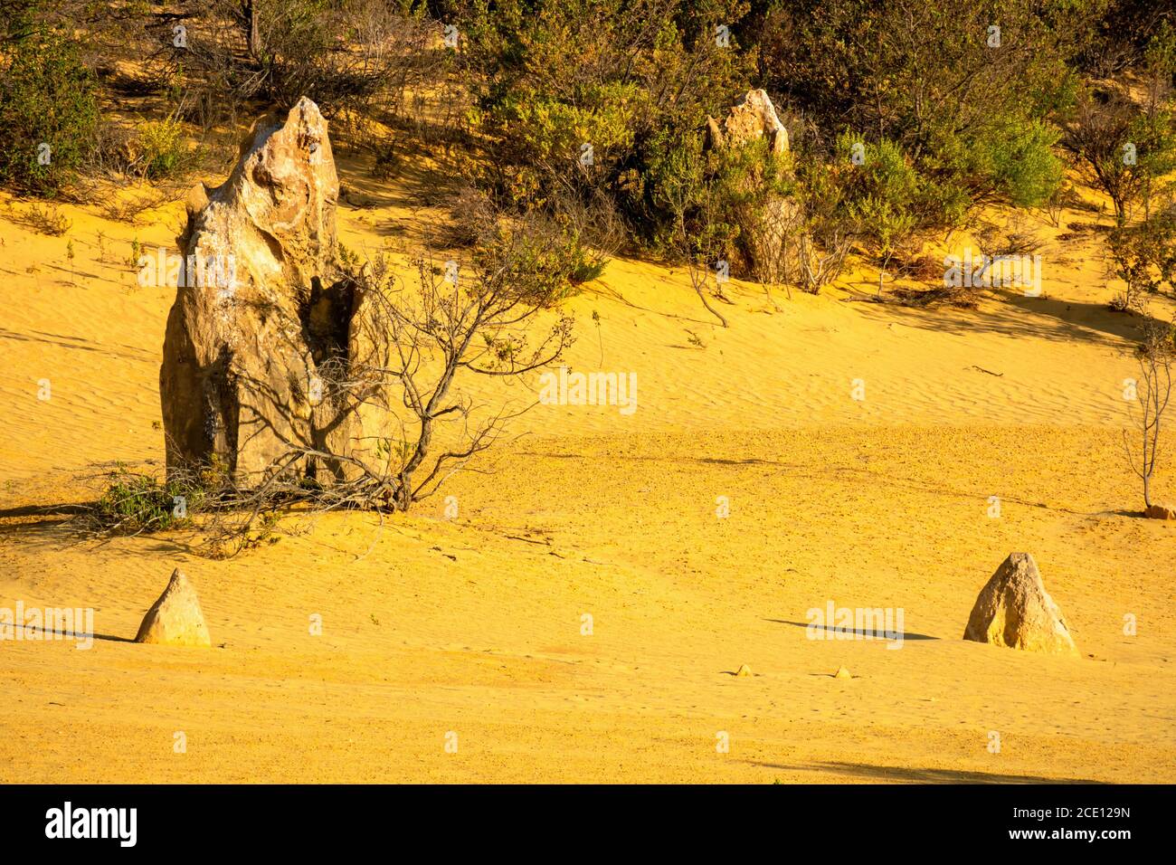 Pinnacles Wüste im Westen Australiens Stockfoto