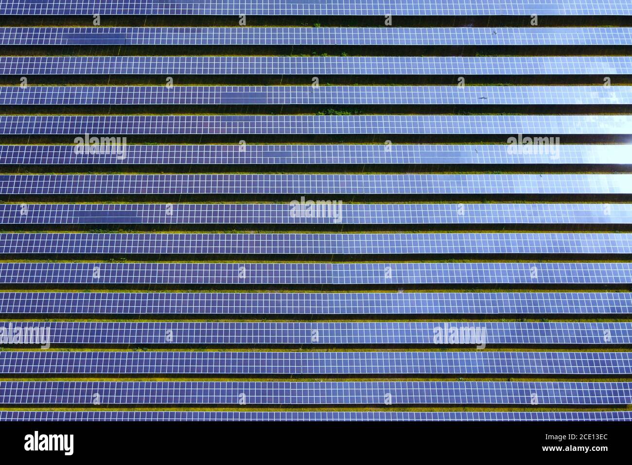 Drohne Luftaufnahme einer Photovoltaik-Solaranlage. Metallisch blaue Sonnenkollektoren, erneuerbare und nachhaltige Energietechnologie. Stockfoto