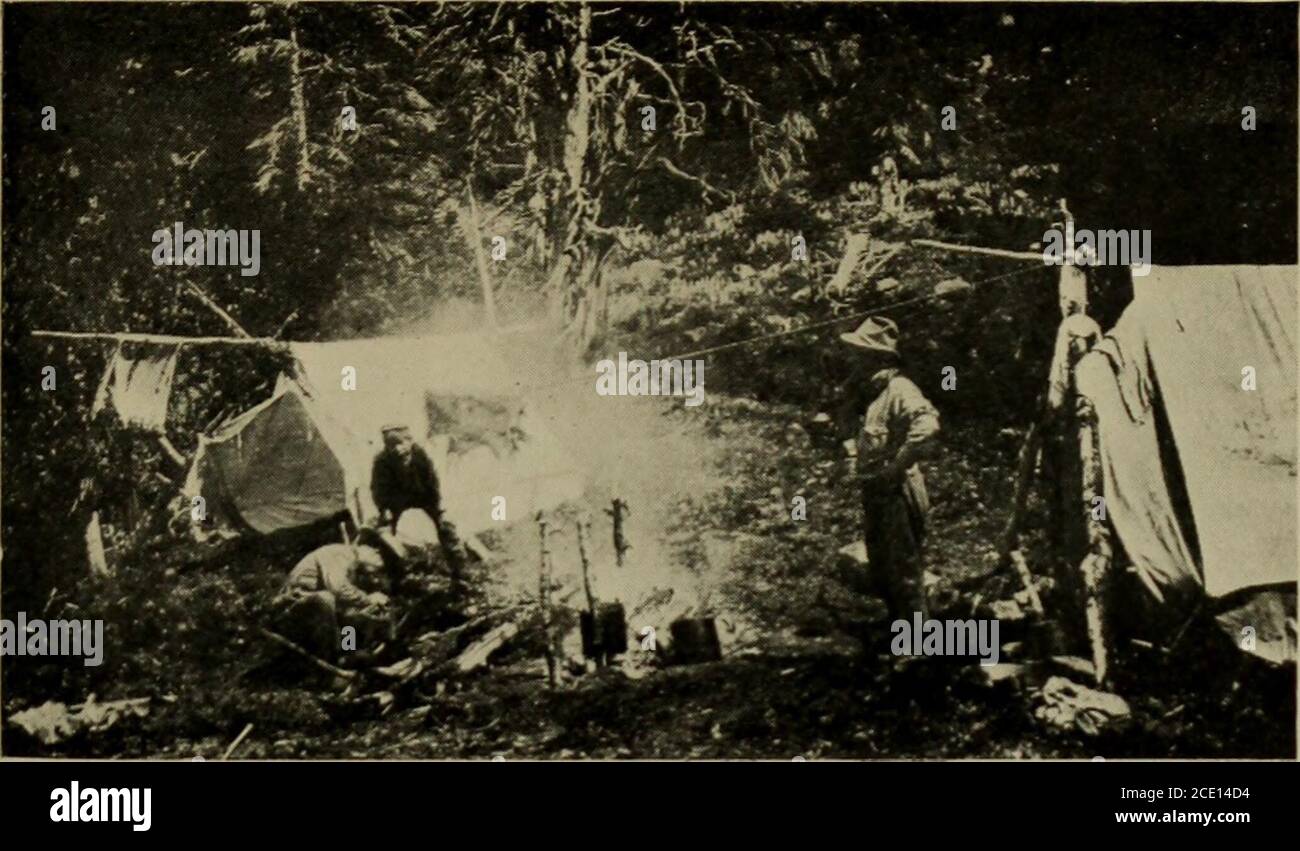 . Der Ruf der West-Buchstaben von British Columbia. Wird im Mund des Mehlsacks selbst gemischt; dann, wenn gründlich geknetet, wird er in eine gut fettige Bratpfanne gelegt, die mittels eines Stabes, das Feuer gegenüberstellt, bis eine Seite gebräunt wird. Thencomes der Teil, in dem der zutreffende Künstler hisskill und der Anfänger seine Unbeholfenheit anzeigt; das bannockhas, um umgedreht zu werden, indem es wie ein Pancake wirft, und es nimmt eine Menge Praxis, gerade das rechte der Rucke zur Bratpfanne zu geben. Es ist ohnehin nicht so einfach, wie es aussieht, und wenn man nicht vorsichtig ist, haftet der halbgebackene bannock Stockfoto