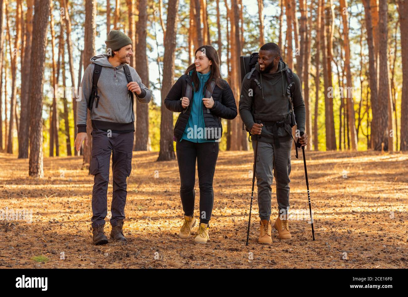 Fröhliche Wanderer, die Unterhaltung beim Spaziergang durch den Wald Stockfoto