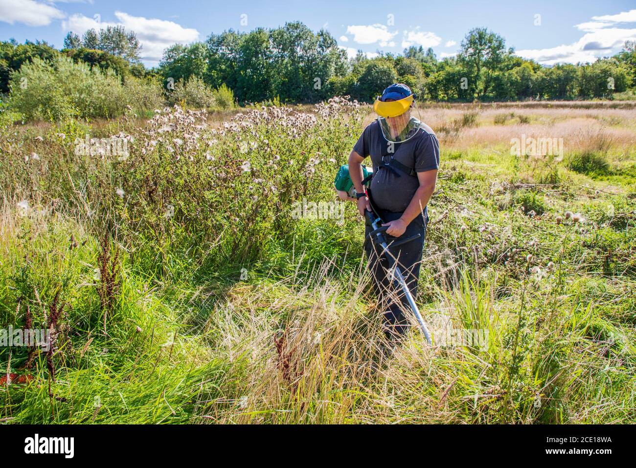 Mann, der einen überwucherten Garten streift, einen industriellen Strimer verwendet und ein Schutzvisier trägt, Kilwinning, Ayrshire, Schottland, Großbritannien Stockfoto