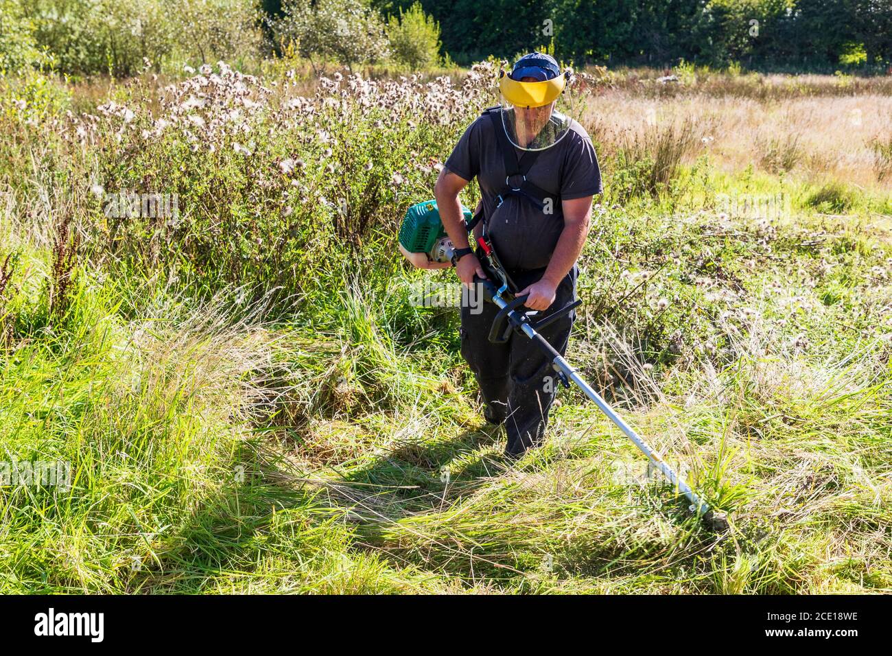Mann, der einen überwucherten Garten streift, einen industriellen Strimer verwendet und ein Schutzvisier trägt, Kilwinning, Ayrshire, Schottland, Großbritannien Stockfoto