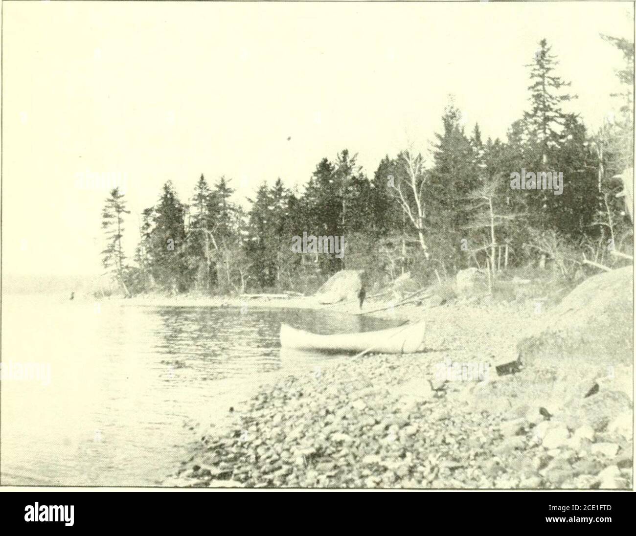 . Eastern Maine praktischer Führer. Meddybemps See... Dobsis Lake. 37 von Shaws führt eine kilometerlange Straße zum Fourth MachiasLake. Mr. Shaw wird Sie herüberholen. Die Straße folgt viel weiter dem Gipfel eines von vielen solchen Gletscherablagerungen in diesem Abschnitt, genannt Pferderücken. Vor dem Start flussabwärts vom Fuß des Vierten Lakeut ist die Zeit wert, zum Kopf des Sees und upFifth Lake Stream i Mile zu gehen. Eine 2-Meilen-Fahrt auf dem rechten Teil eines Pferdes bringt Sie zum Kanuwasser im Bach, der wieder zum Fifth Lake, dem Kopf des Machias River, führt. Auf diesem Carry ist die Straße oft 200 Stockfoto