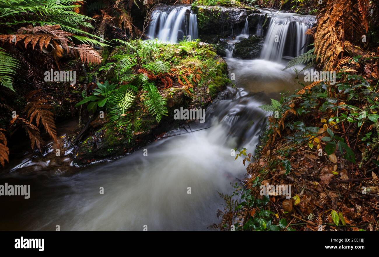 Neuseeland-Wasserfall Stockfoto