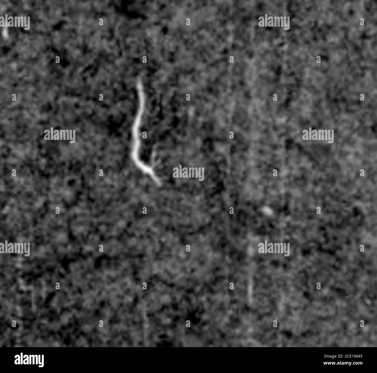 . Chicago fremdsprachige Presseumfrage [microform] : Slowenisch . -1, >;^r :,..-:? ^; . ? ? .. ? vi* H : >? ? Fclv • Ji-J. * *? .:?? - ?.••.*V>r IV ijfri >•?. ;*- <?-?. t ;-^.>;%V H AV • t:V .T-V ? -/.. ^&k£i * - i **£* :?•,•; VP. ? .?• II V1 HI F * J£R£ ,^J5, ^* ^L R .•. ..j, fc (? ??. II CONTRIBUTIONSAND-AKTIVITÄTEN B. Avocational and Intellectual2. Intellectuala. Bibliotheken Stockfoto