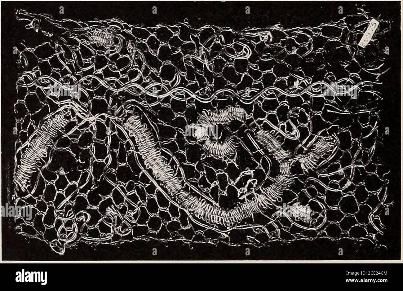 . Eine Geschichte der handgefertigten Spitze : Umgang mit dem Ursprung der Spitze, das Wachstum der großen Spitzen Zentren, die Art der Herstellung, die Methoden der Unterscheidung und die Pflege der verschiedenen Arten von Spitze . Gings so viel verwendet, wenn winzige Rüschen Mützen wurden von Babys getragen, Wurden inBuckinghamshire hergestellt, undim Handel als Baby-Spitze bekannt. Die Diskontinuanz dieser Mode, zusammen mit der Einführung von maschinell gefertigten Spitzen, hat dazu geführt, dass die Machungvon Buckinghamshirelace konsiderably abnimmt. Die in-dustry hat jedoch zu einem kleinen Umfang innerhalb der letzten Jahre wiederbelebt, und somefine Exemplare wereshown an der H Stockfoto