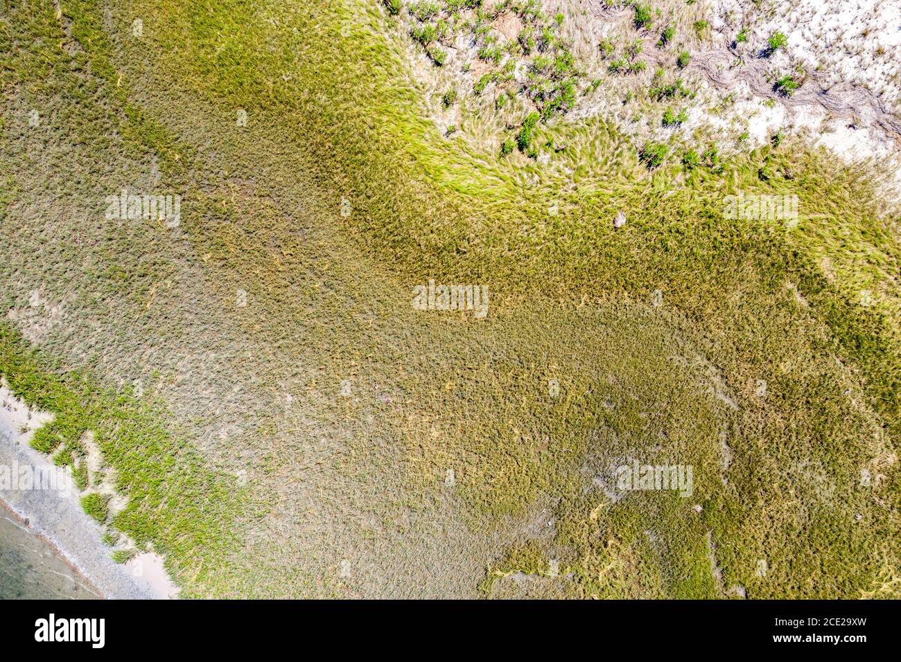 Luftaufnahme der Küste mit Feuchtgebieten, Southampton, NY Stockfoto