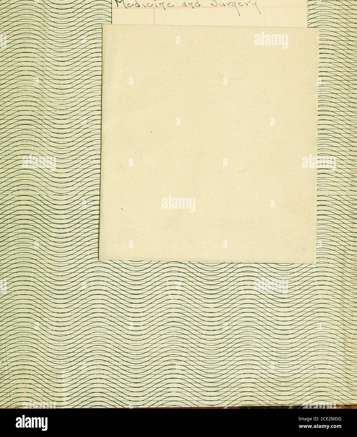 . Hundert Jahre Medizin und Chirurgie in Missouri; historische und biographische Überprüfung der Karrieren der Ärzte und Chirurgen des Staates Missouri, und Skizzen von einigen seiner bemerkenswerten medizinischen Institutionen . VeAsor^e- <xi6, Oovvvat-nr^. Stockfoto