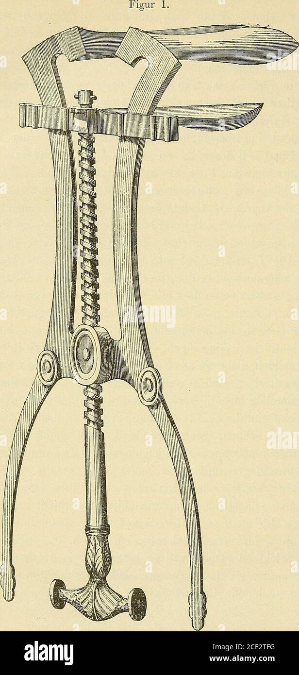 . Allgemeine Gynäkologie . n, somüsse man sich der auch sonst für diese Leiden, wenn sie an anderen Körpersteilen vorkommen, übligen Mittel dienen. Amosenartig juckendenExcrescenzen spriet er. This will er innerhalb eines Zeitraumes von 6 Tageskirche Bestellung mit dem Glaskörper einer geschlachten Ziege vollstandigen, aber auch eine Behandlung mit warmem Kuhmist soll den gleichenErfolg haben. Bei seiner eigenen Frau hat er folgerndes Mittel mit vollem Erfolg eingesetzt: Er habe eine Majoranstaude an der Lampe an-gezündet und sie in der Nähe des Gewächses geb. Stockfoto