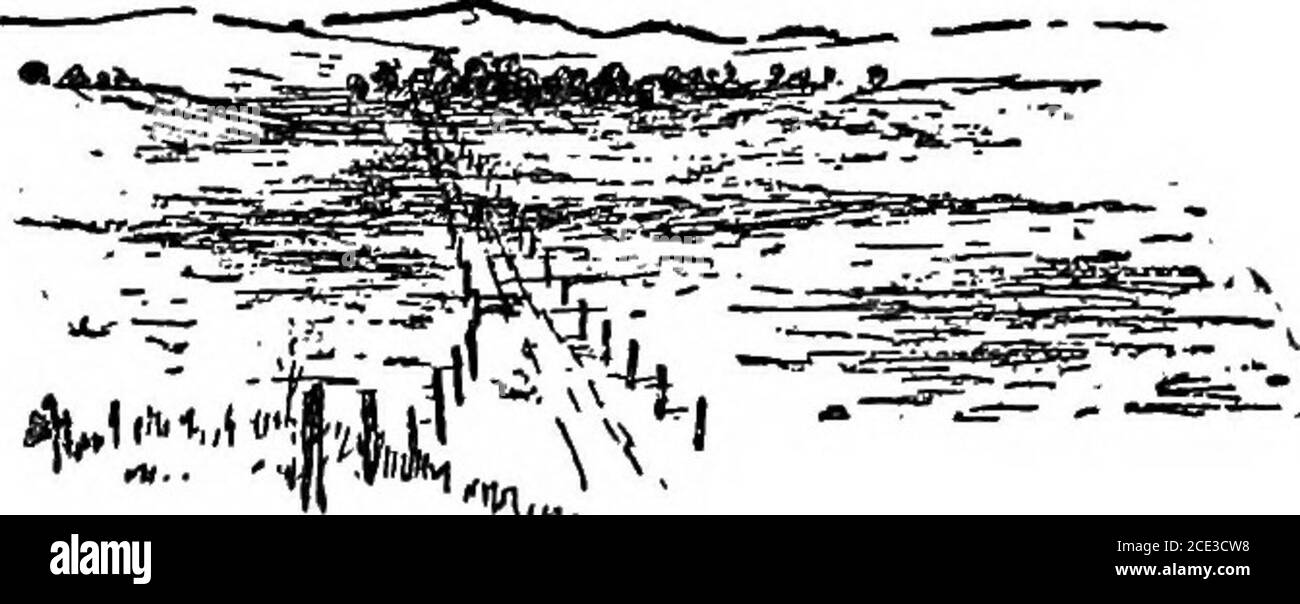 . Wenn ein Mann ist ein Mann : ein Roman . atches, noch ruhig, antwortete sanft. Meine Gründe, warum ich nicht in Prescott übernachtet habe, sind ganz persönlich, Phil; ich möchte es mir gerade nicht erklären. Oh, du nicht? Nun, es scheint mir, Herr, dass Sie einen Teufel von vielen persönlichen Angelegenheiten, die Sie nicht erklären können. Ich fürchte, ich habe, zurückgebracht Patches, mit seinem alten selbstverspöttischen Lächeln. Aber, schau hier, Phil, du bist beunruhigt und alles ist über etwas hineingefallen, oder du wirst»mich nicht so angreifen. Sie glauben nicht wirklich, dass ich ein verdächtiger Char-acter, und Sie wissen, dass Sie nicht. Du bist nicht selbst, alt 259, WENN EIN MANN MANN Mann, und T Stockfoto