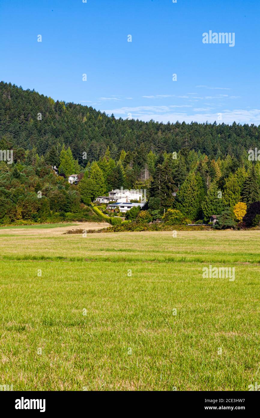 Ländliche Szene auf der Halbinsel Saanich in der Nähe von Victoria British Columbia Kanada Stockfoto