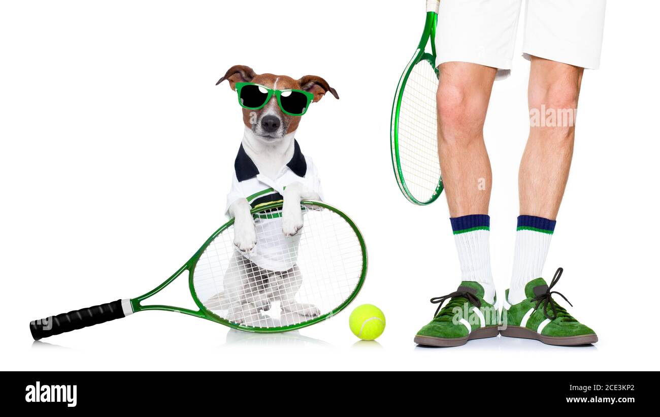 Hund Tennis Ball Spieler Stockfoto