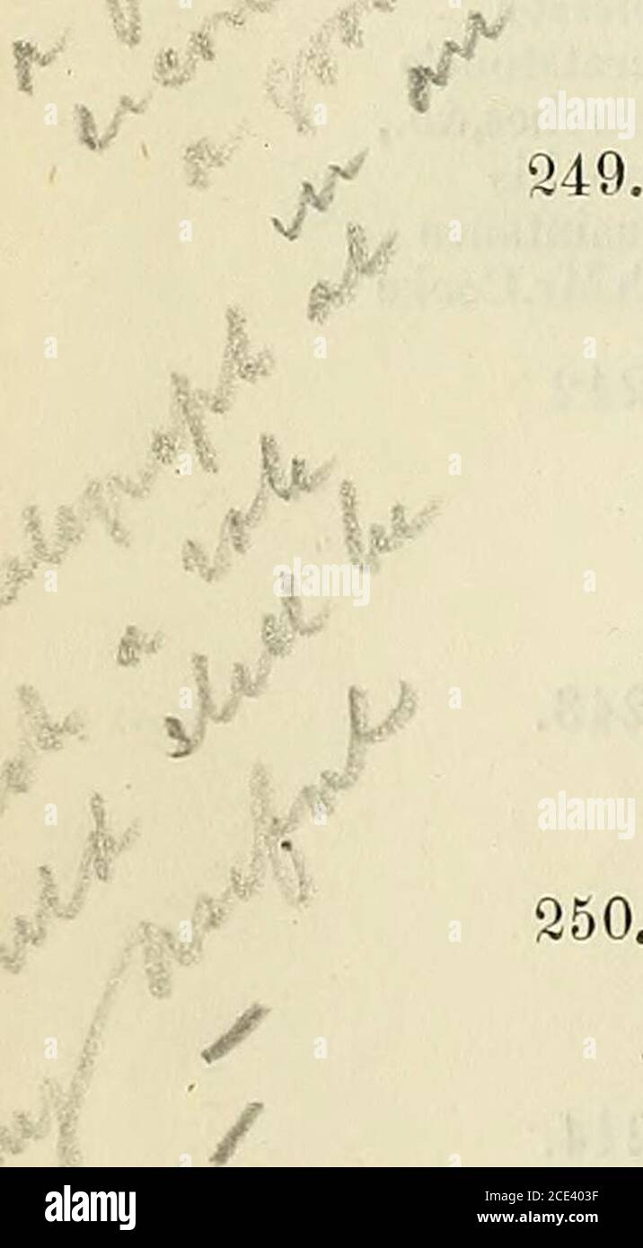 . Der elektrische Telegraph: Wurde er von Professor Wheatston e erfunden? . earcnes, & c., alle Arten miffht perfekt übertragen werden und Macht- vor MS 1 ./ 1 Bekanntschaft vollständig durch feste Drähte und Stäbe, und könnte ^itfims.Cookere-produziert in fernen Orten, Ich dachte, dass ich 242ein effizientes und wirtschaftliches Mittel zur Etablierung atelegraphic (oder besser gesagt eine telefonische) Kommunikation zwischen zwei entfernten Orten. Experimente auf Q43.^ größerem Maßstab zeigten mir jedoch, dass zwar für kurze Distanzen die perfektesten Ergebnisse erzielt wurden, die Klänge aber nicht effizient durchgelassen werden konnten Stockfoto