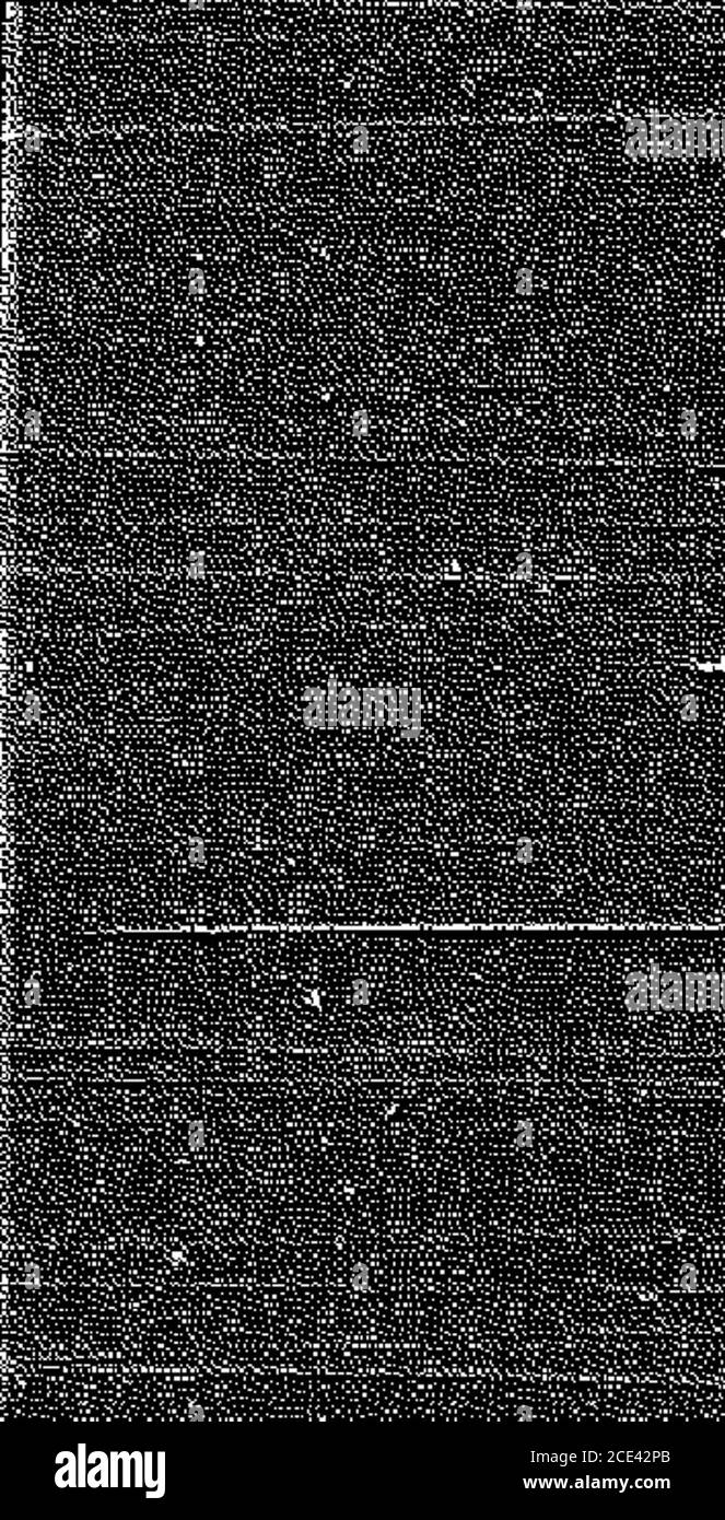 . Der Krieg Schrei . T^^^?^^ i<. ^^m^^^^^i = s^ -; T!=-.T- -.^>->s^ ,-»J58»»3= ,=ick :#JS?»?=?> S r^ =? IT SF-5yV^,.«0- i.^! Stockfoto