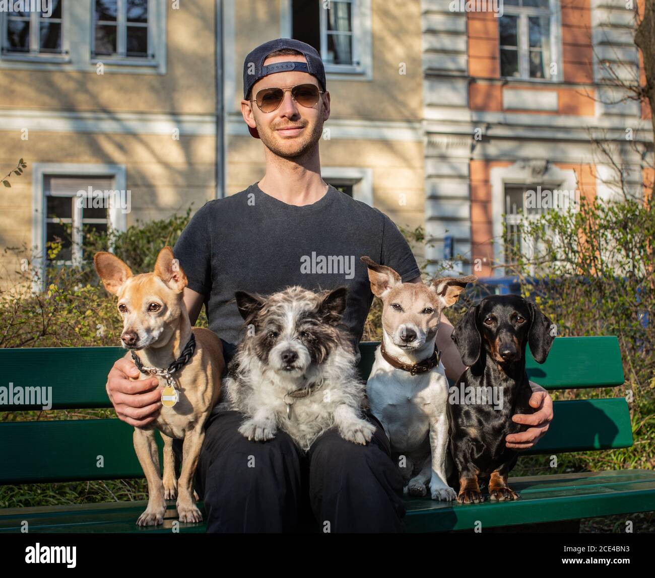 Gehorsame Hunde mit Trainer und Besitzer sitzen auf einer Bank Stockfoto
