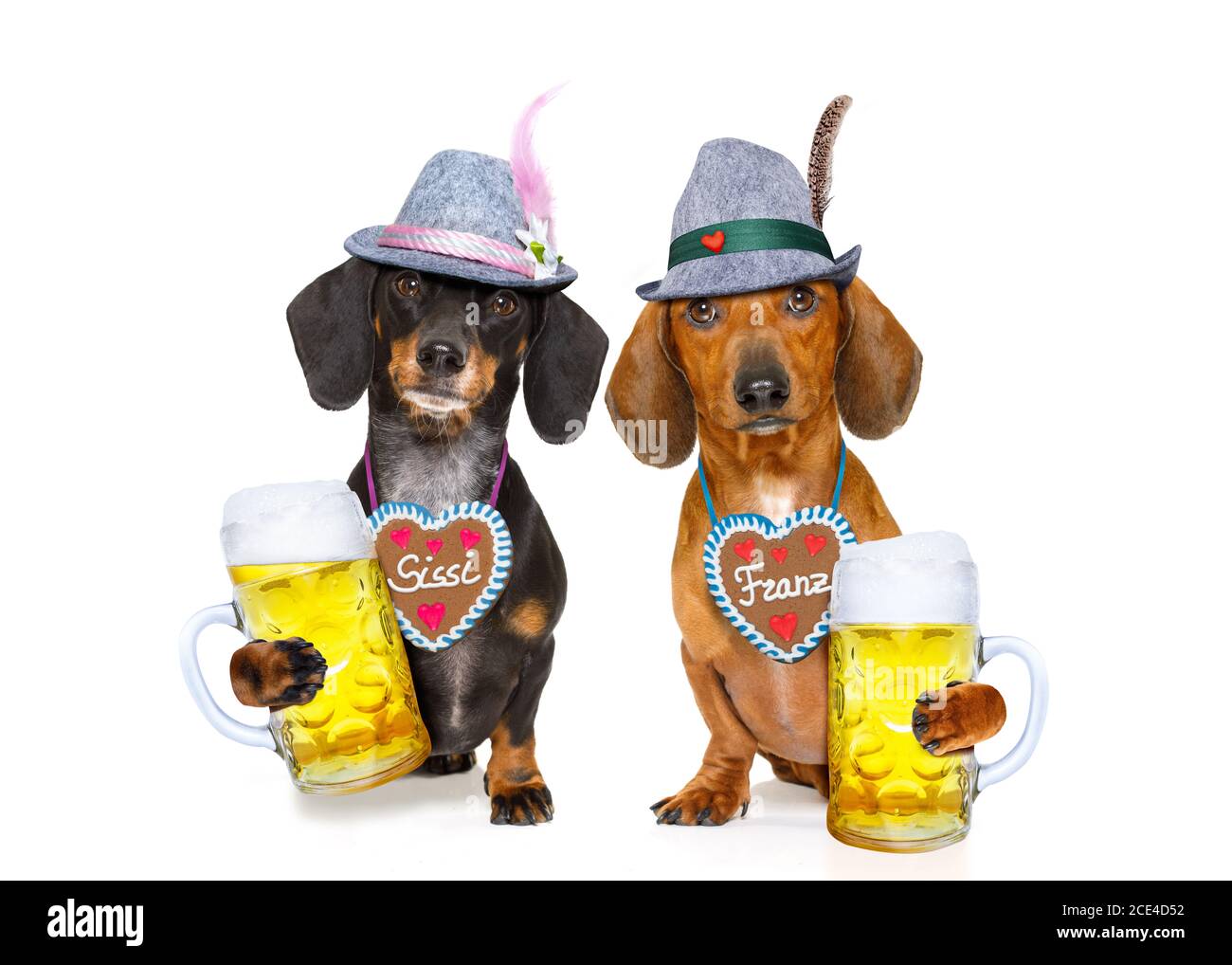 bayerisches Bier Dackel Wurst Hunde, ein paar von zwei Stockfoto