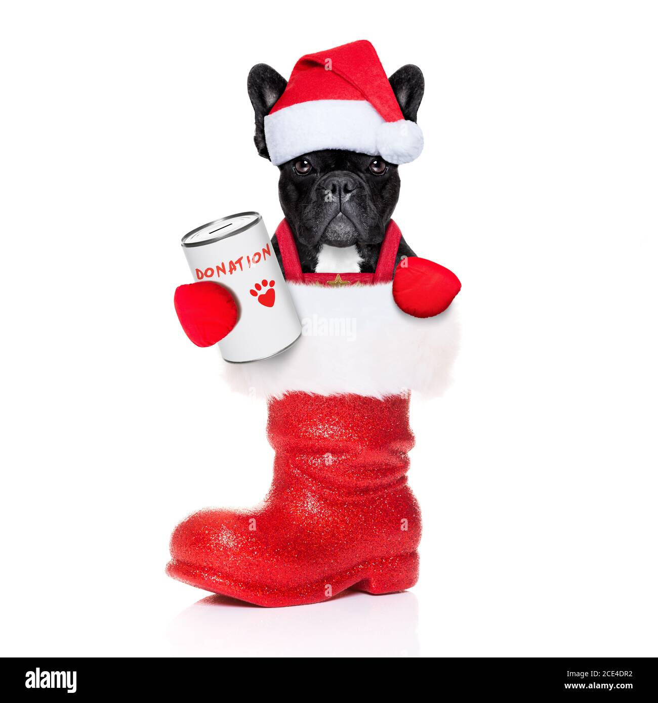 Santa Hund Stockfoto