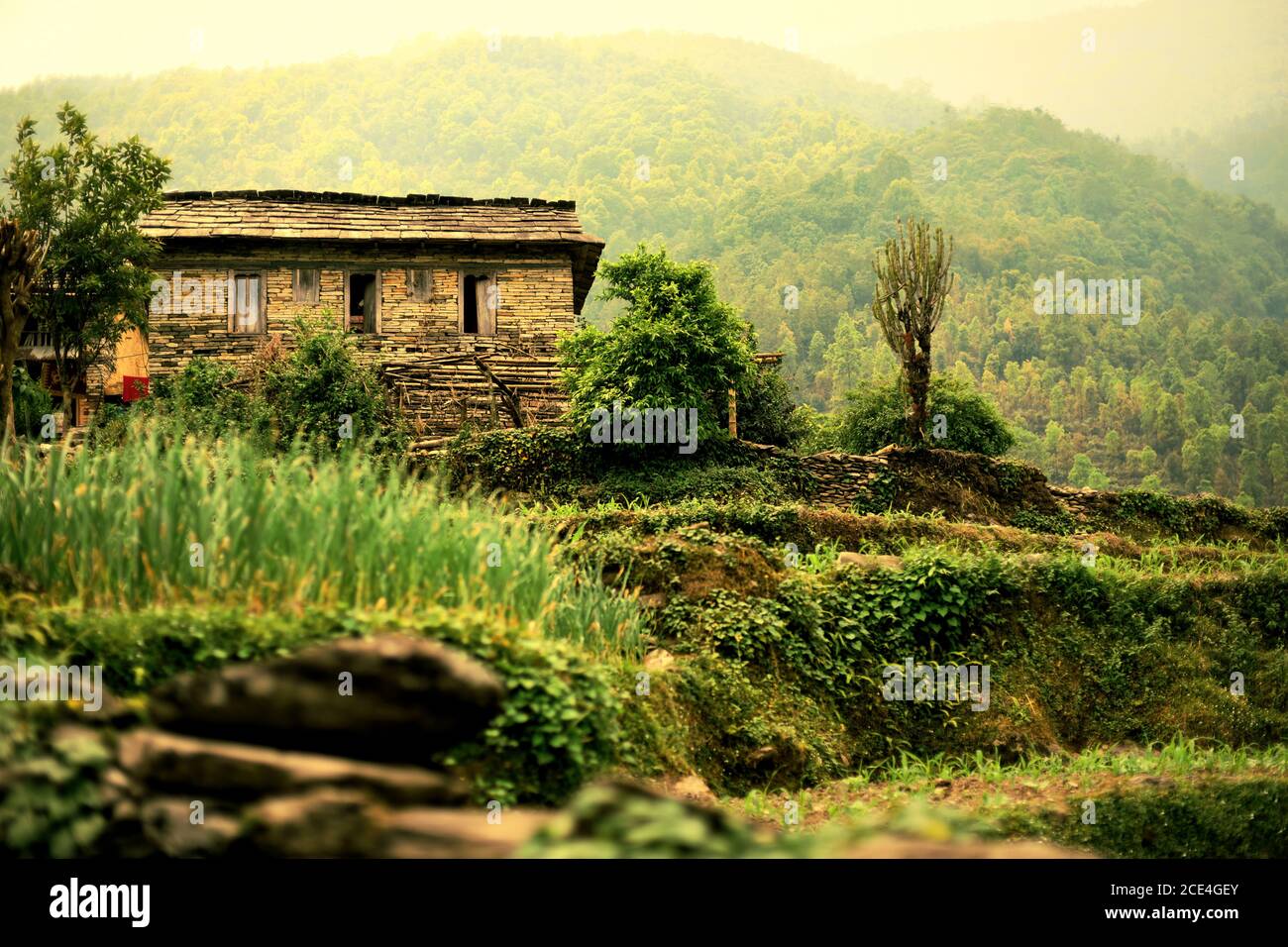 Ein Bauernhaus im landwirtschaftlichen Dorf Sidhane in der Panchase Bergregion, Nepal, wo die Einheimischen auch auf Ökotourismus angewiesen sind. Stockfoto