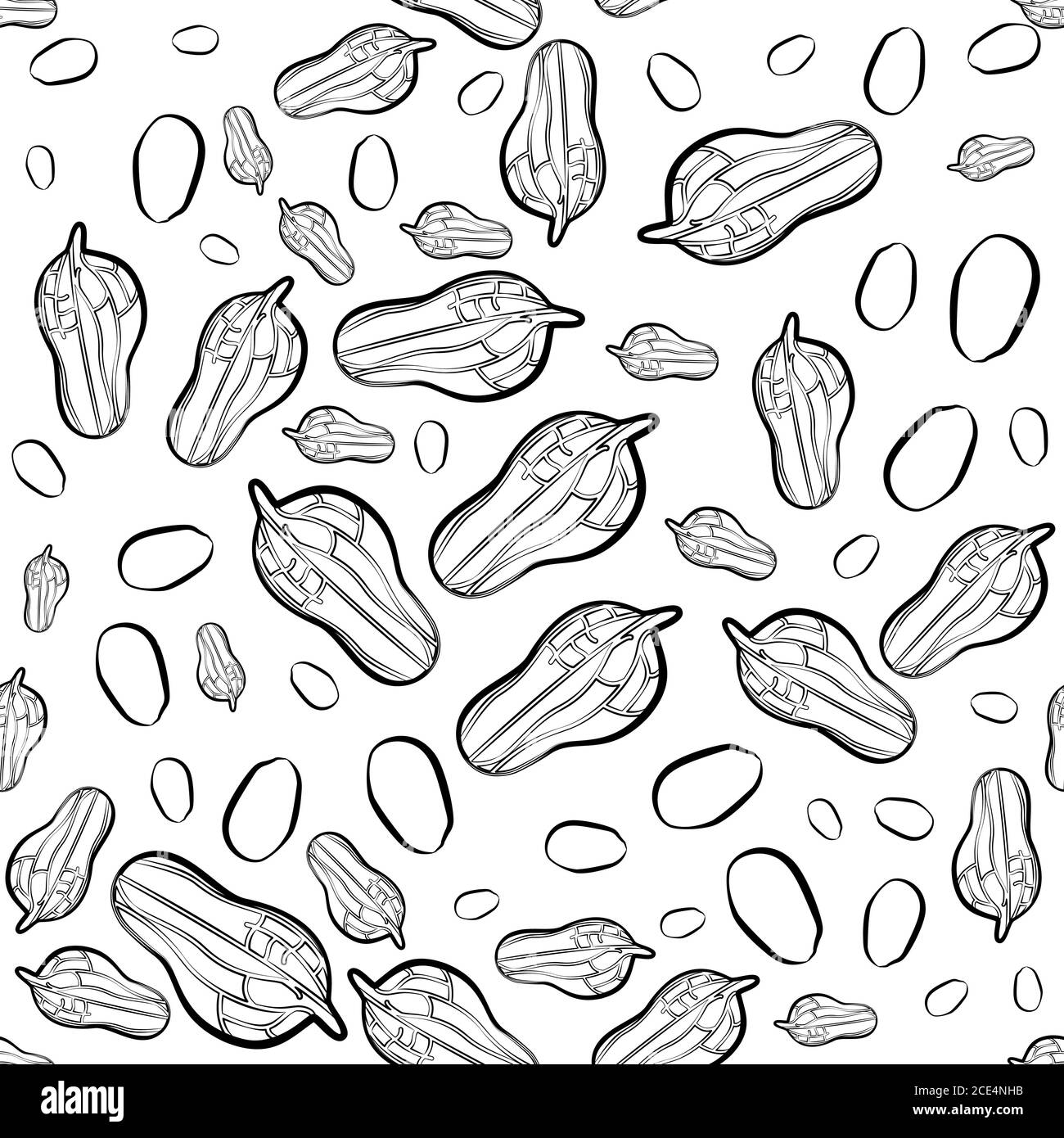 Erdnüsse Nahtloses Vektor-Muster im Skizzenstil Stock Vektor