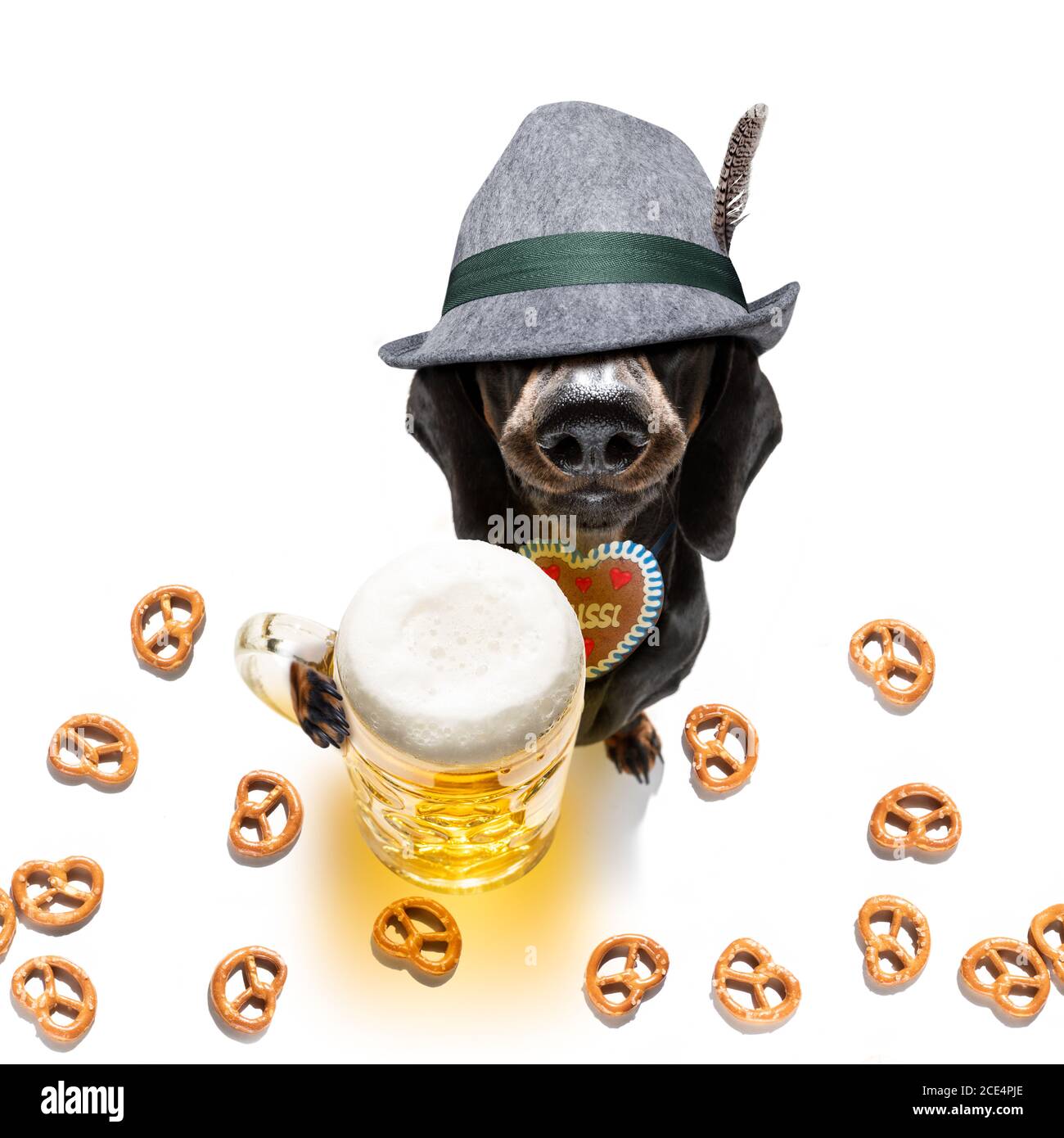 bayerisches Bier Dackel Wurst Hund Stockfoto