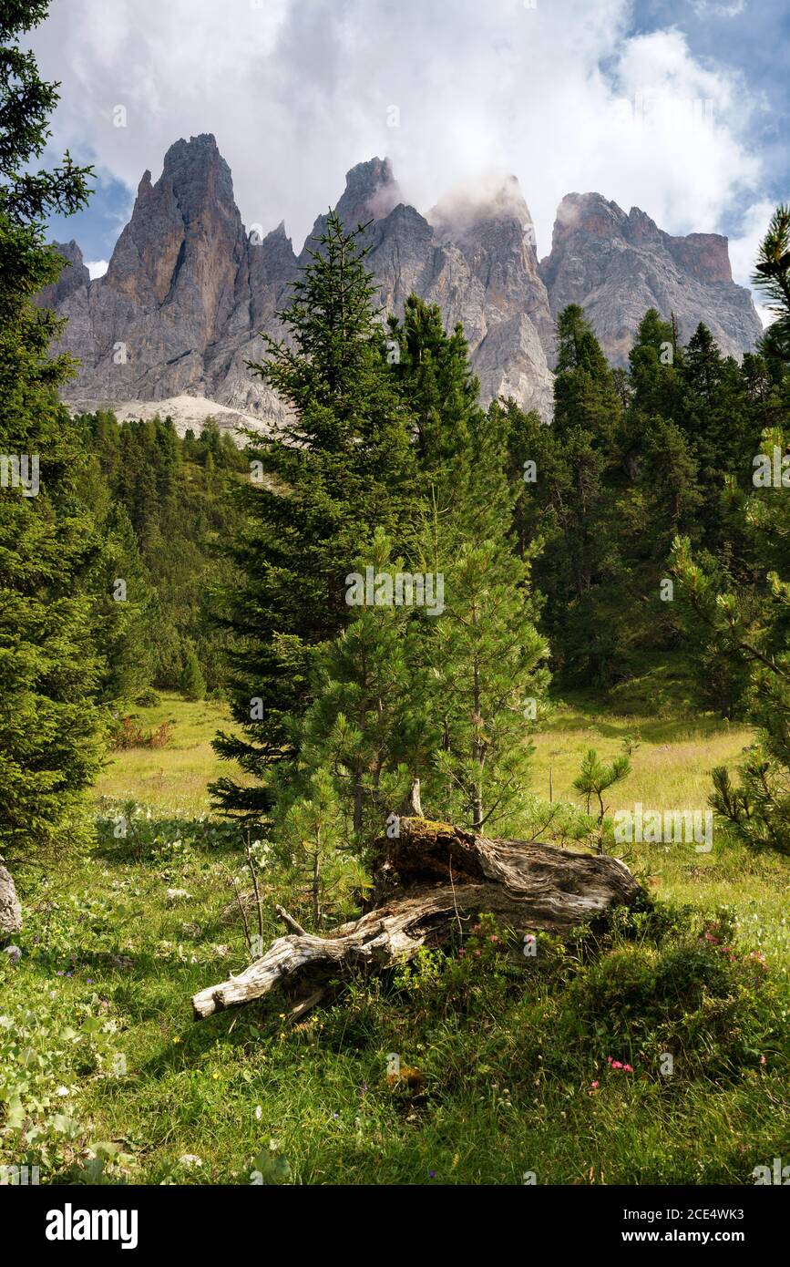 Blick auf furchetta Berg mit Bäumen im Vordergrund in den Dolomiten Alpen Berge Stockfoto