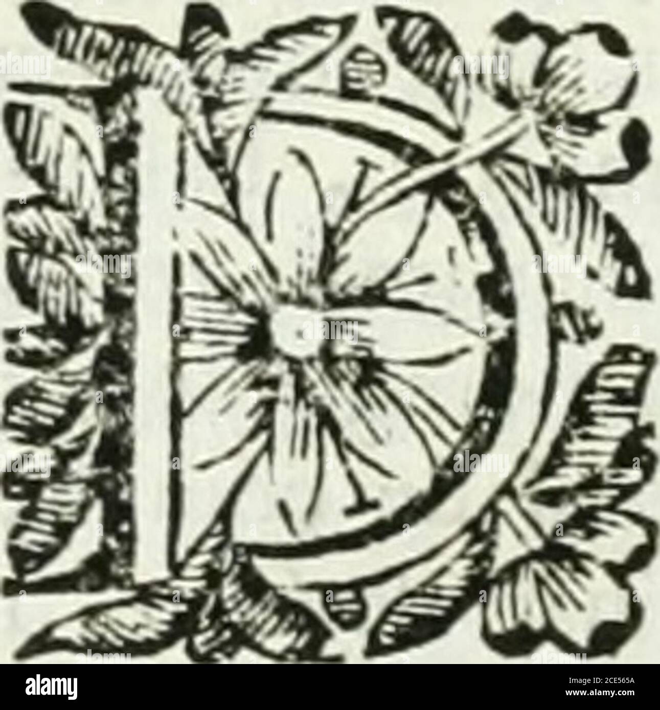 . Historia General de los hechos de los castellanos en las islas i tierra firme del mar oceano . nos hacian , era al Sol,de quien reconocían todo Fu bien : loque toca á las Congrcgracioncs de Bailes,Fieílas,! Borracheras en fus tiempos, 6quando bolvian viftorioíos de la Guer-ra , también lo vfaban , i peleaban coaLangas, Rodelas , Dardos arrojad!eos,i Hachuel.is de Cobre, i Macanas, Co-Mo Montantes : gouvernabanfe por lacuenta de la Luna , i por ella hacían fusan Sementeras : Ocritas Pcríi i por Fu muerte fucedetiHijos , i Hermanos : dormían en Bar-bacoas , i hamacas : tcn Stockfoto